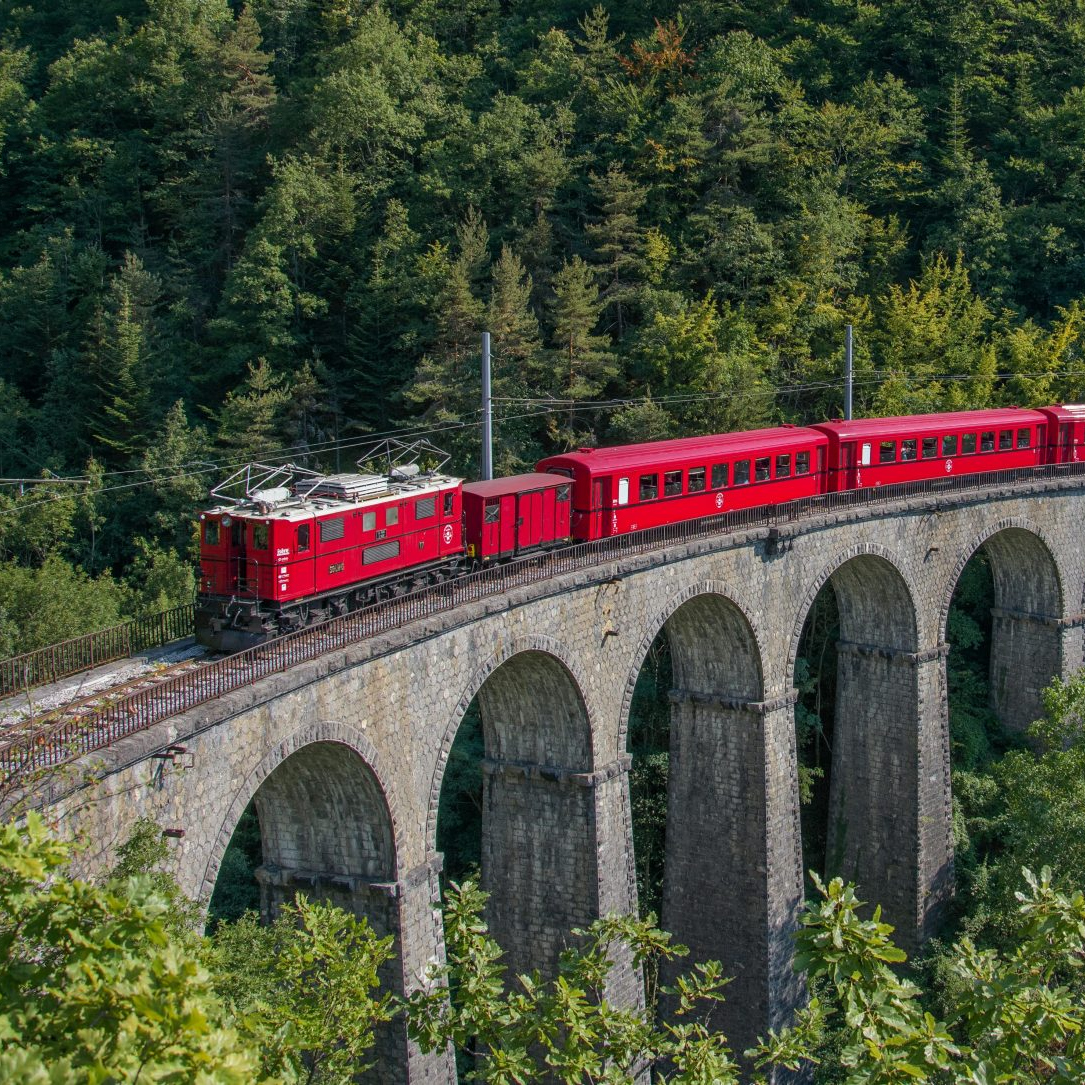 Petit Train de La Mure