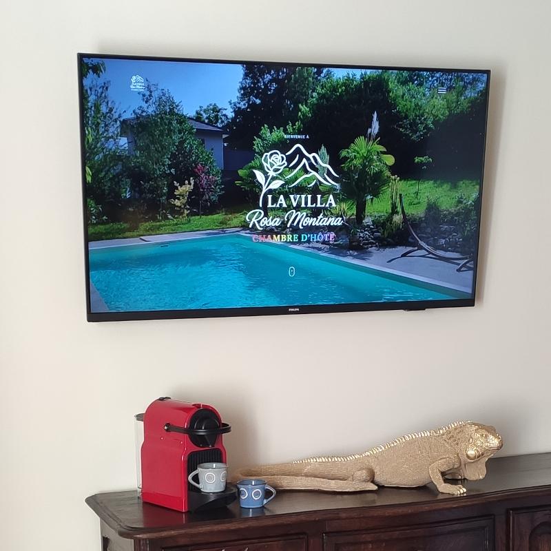 TV